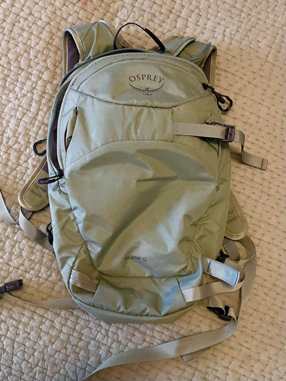 OSPREY Glade 12 Ski and Snowboard Hydration Pack in Sage Green RARE color